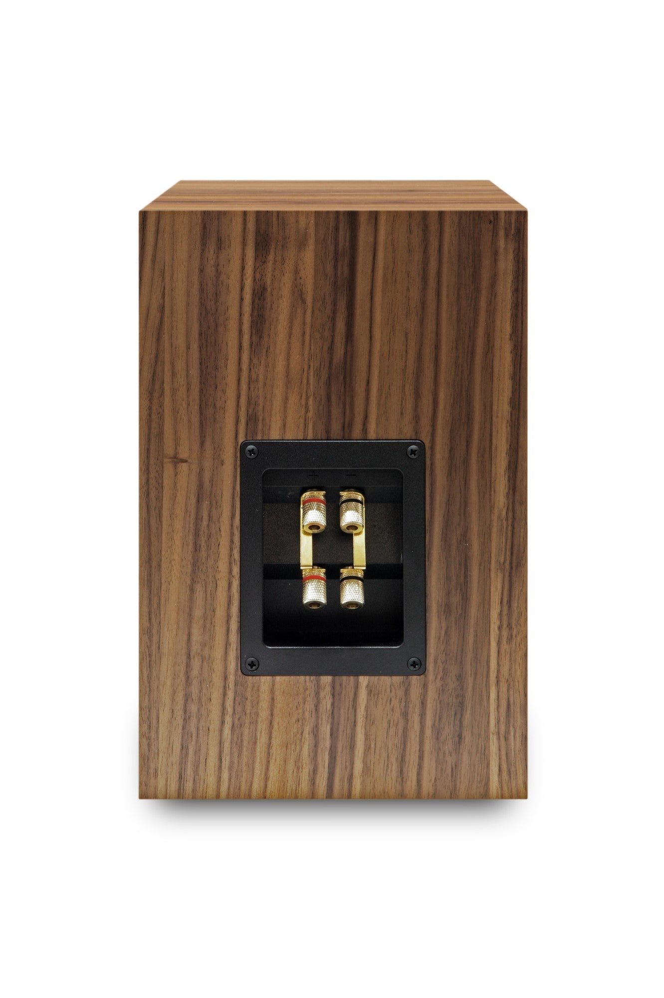 Audio Note AX-ONE Loudspeakers (Click & Collect Only)