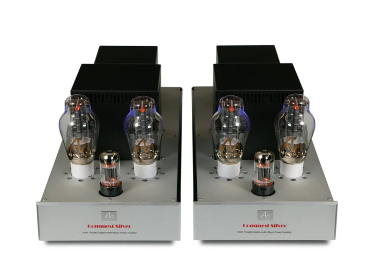 Audio Note Conquest Silver Power Amplifier