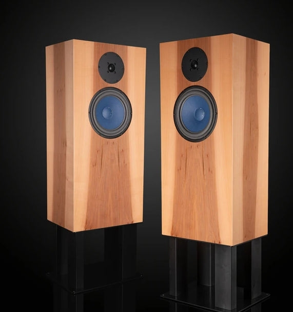 Audio Note AN-E-SOOTTO Limited Silver Signature Field Coil Loudspeakers