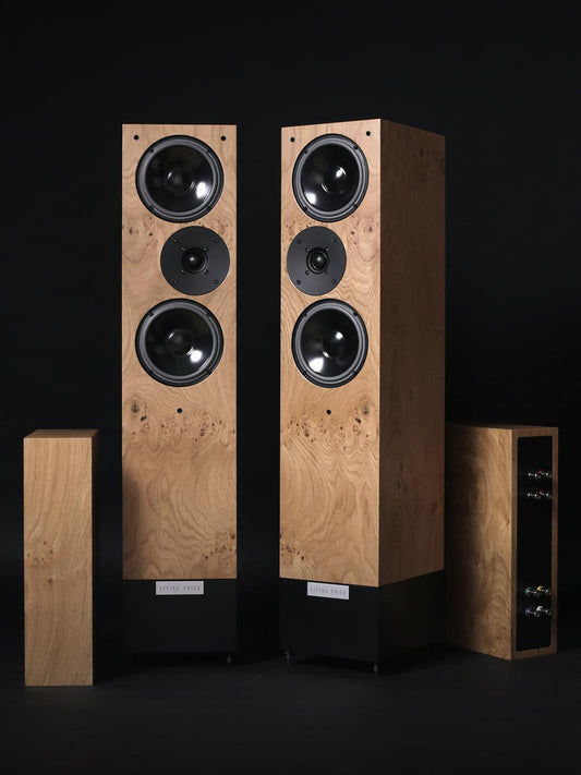 Living Voice Auditorium OBX-RW4 (Click & Collect Only)