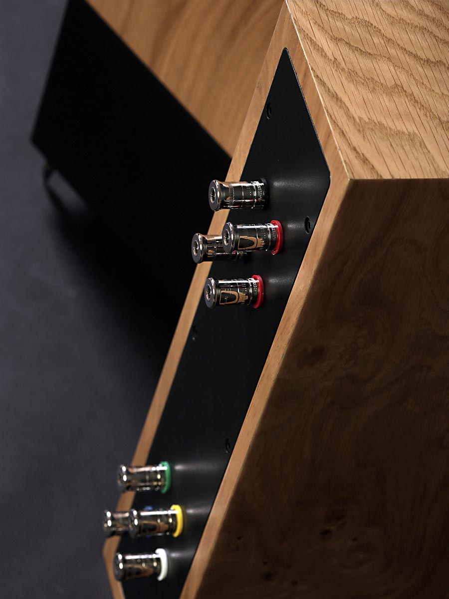 Living Voice Auditorium OBX-RW4 (Click & Collect Only)