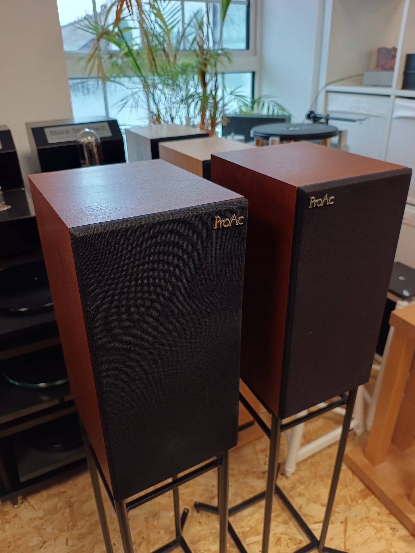 ProAc Studio 100 in Mahogany with Something Solid XFII stands (Click & Collect Only)