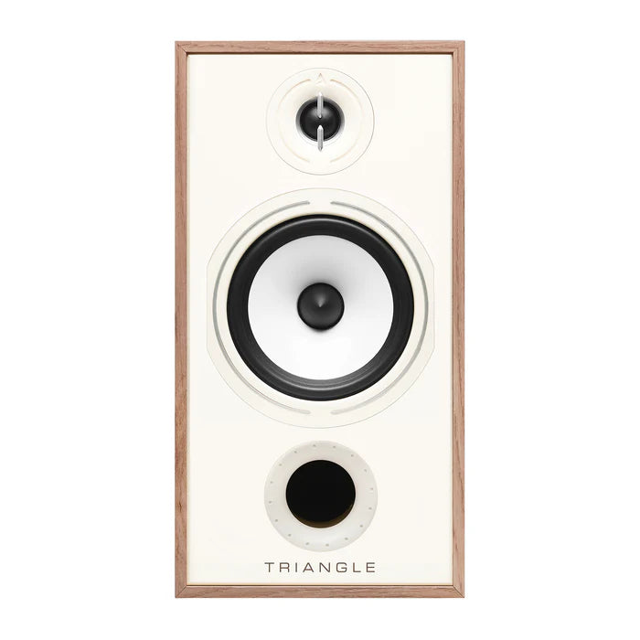 Triangle Borea BR04 speakers