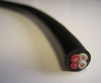 Audio Note AN-Lexus LX Lexus Copper Speaker Cable (Click & Collect Only)