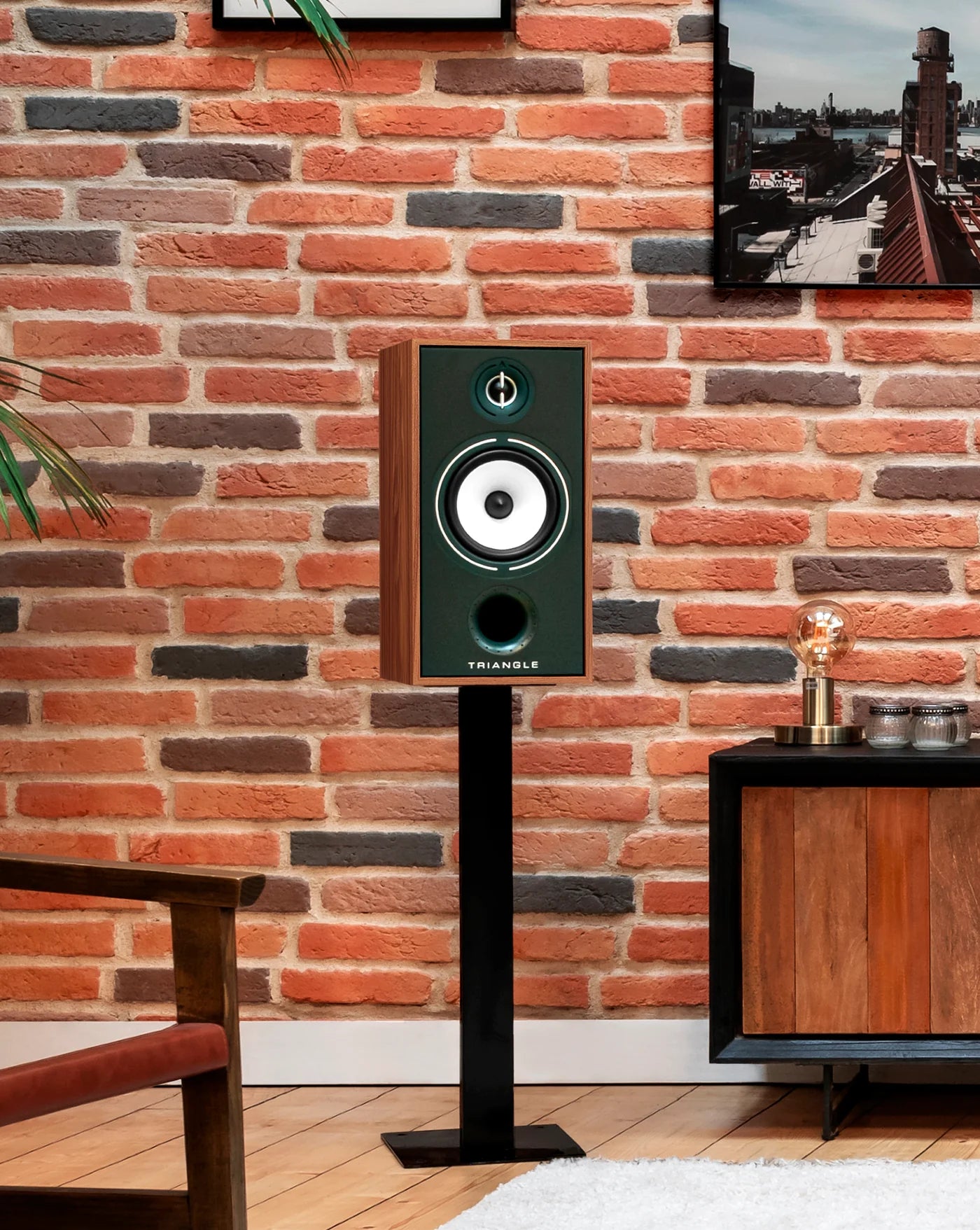 Triangle Borea BR04 speakers