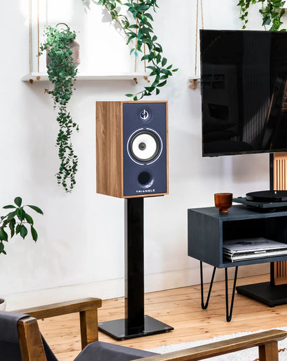 Triangle Borea BR04 speakers