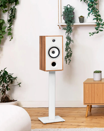 Triangle Borea BR04 speakers