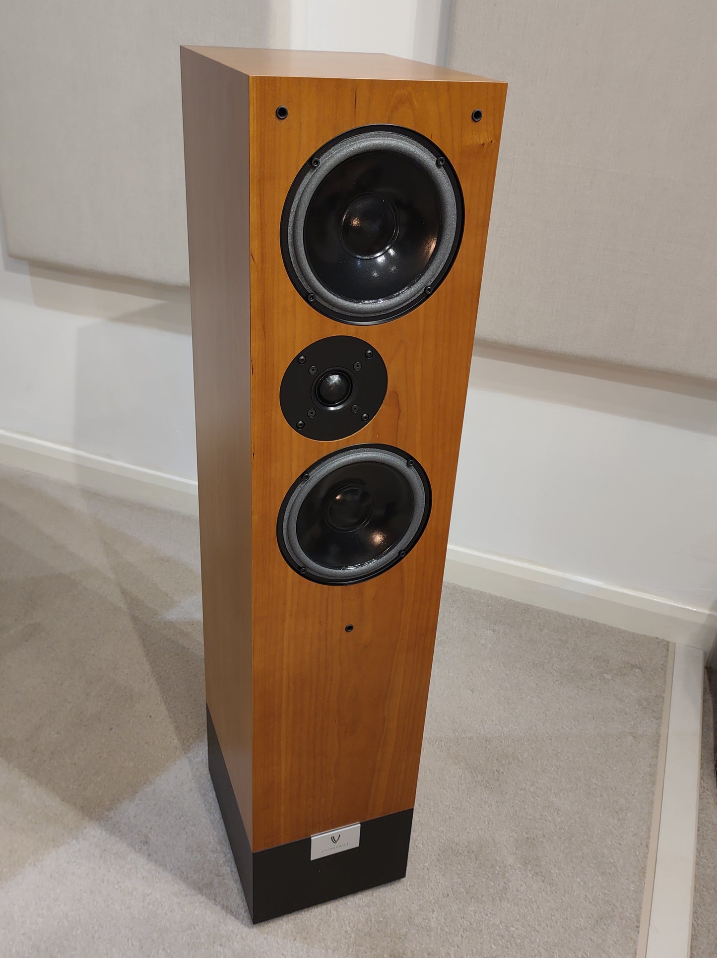 Living Voice Auditorium Avatar 4 (Click & Collect Only)