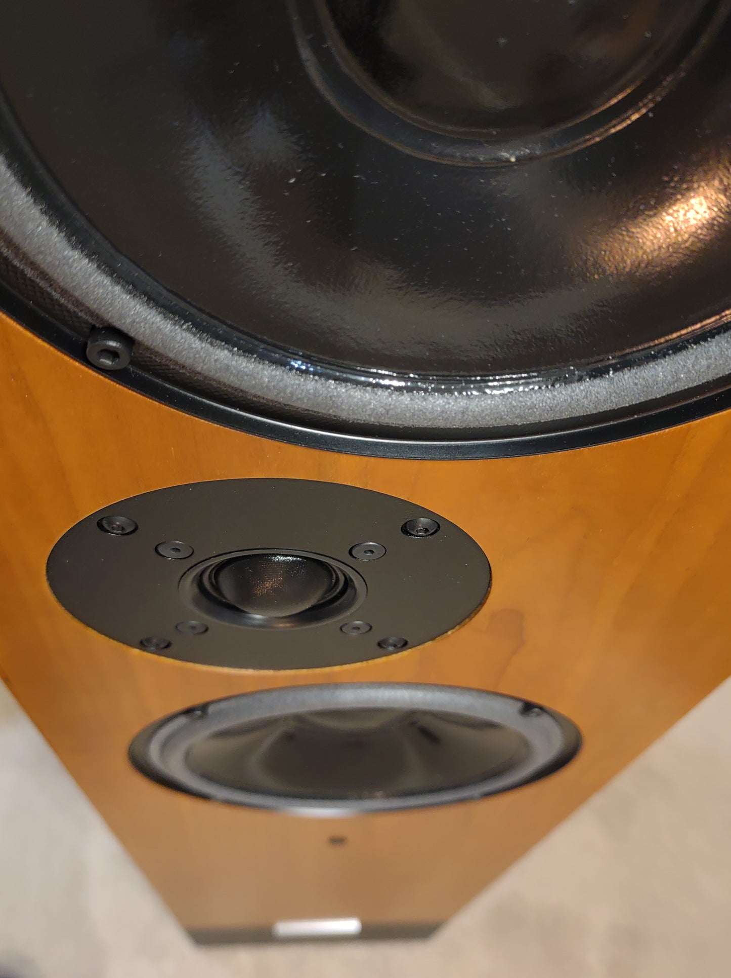 Living Voice Auditorium Avatar 4 (Click & Collect Only)