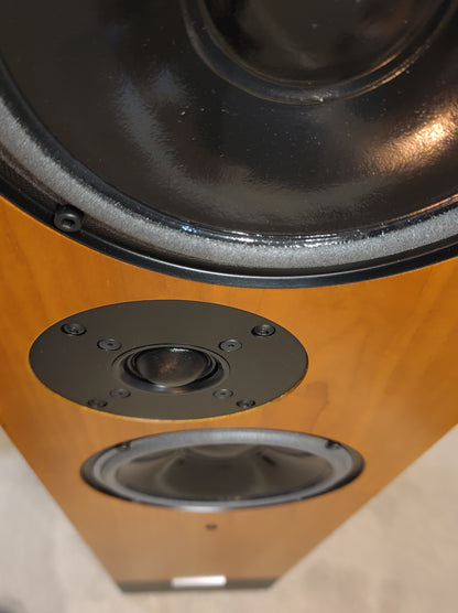 Living Voice Auditorium Avatar 4 (Click & Collect Only)