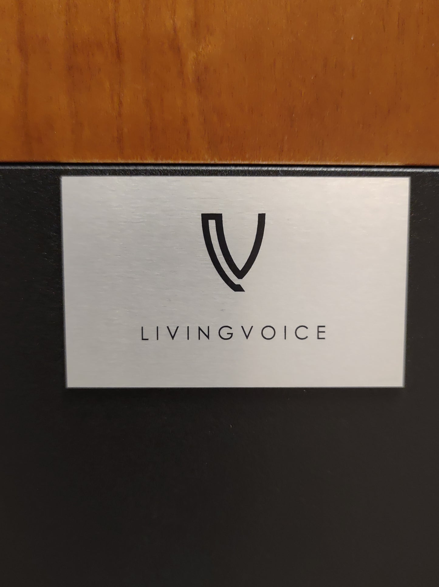 Living Voice Auditorium Avatar 4 (Click & Collect Only)