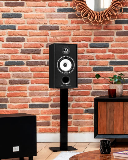Triangle Borea BR04 speakers