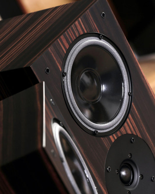 Living Voice Auditorium IBX-R4 (Click & Collect Only)