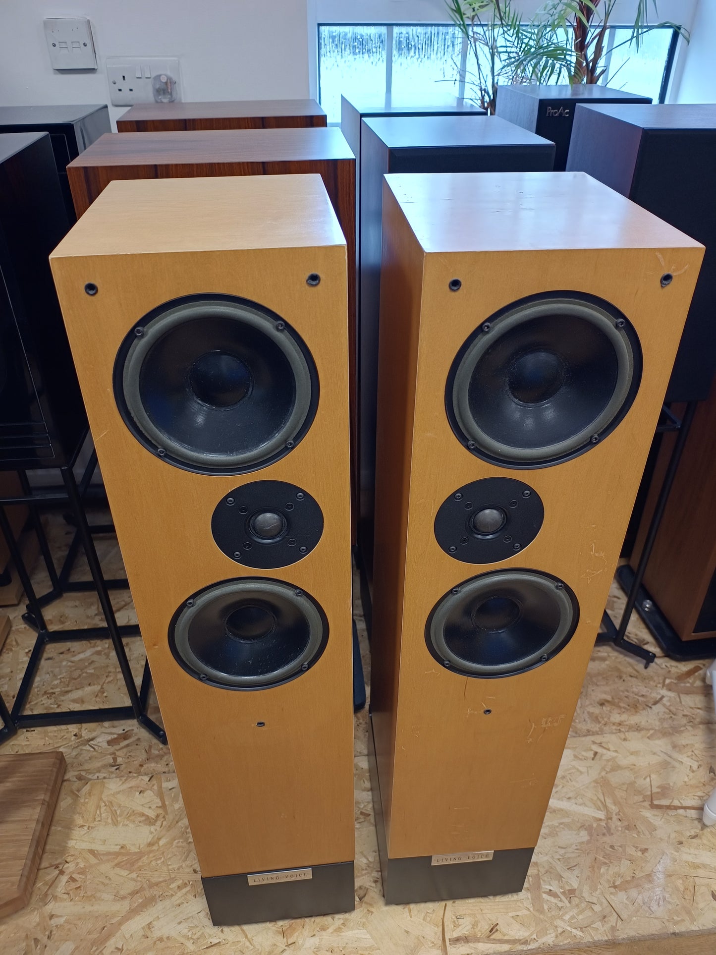 Living Voice Auditorium Avatar Speakers in Maple (Click & collect only)