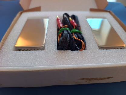 Townshend Maximum Ribbon Super Tweeters  *Used*