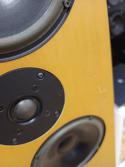 Living Voice Auditorium Avatar Speakers in Maple (Click & collect only)