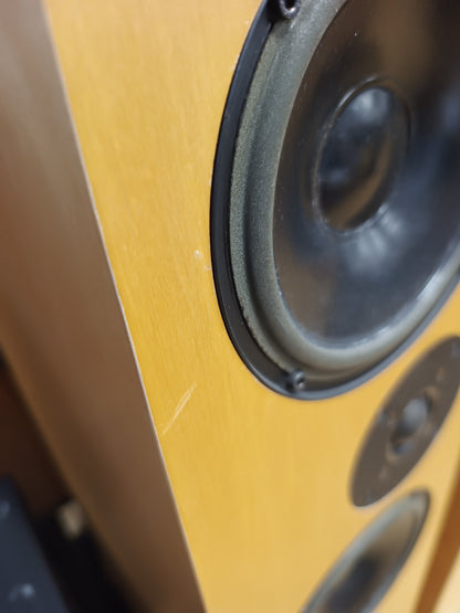 Living Voice Auditorium Avatar Speakers in Maple (Click & collect only)