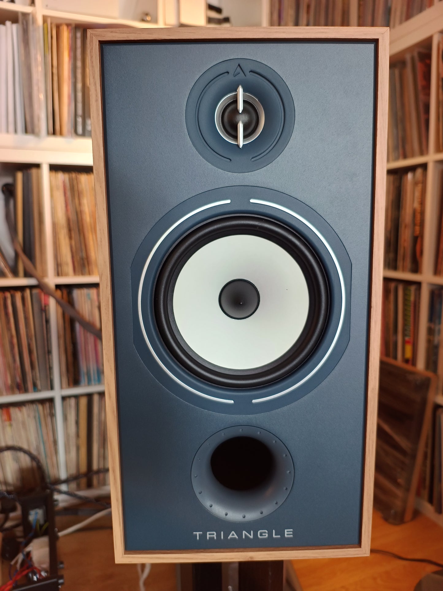 Triangle Borea BR04 speakers