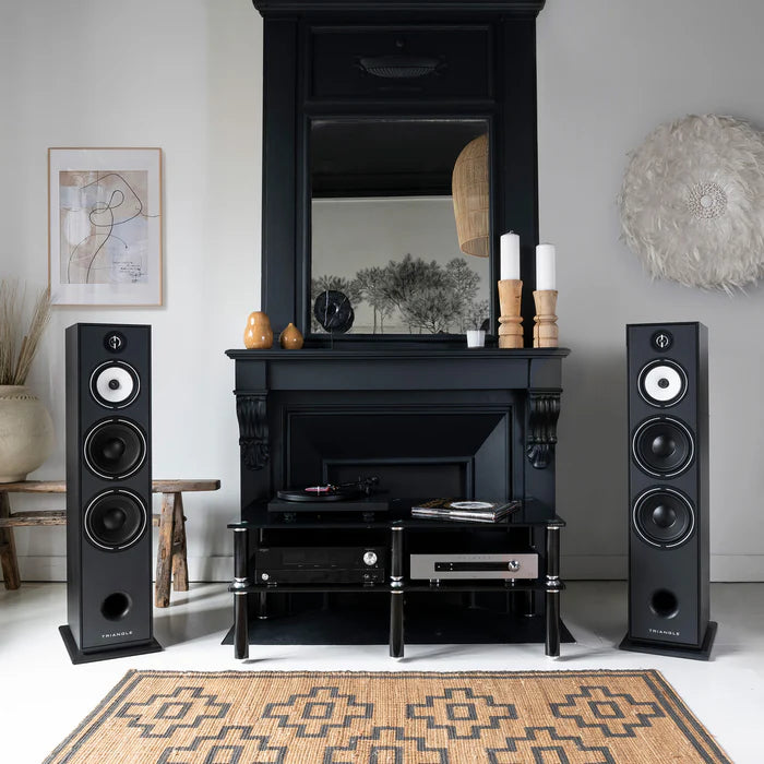 Triangle Borea BR10 speakers