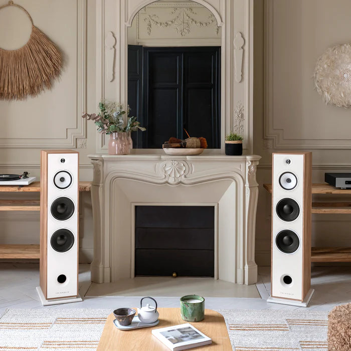 Triangle Borea BR10 speakers
