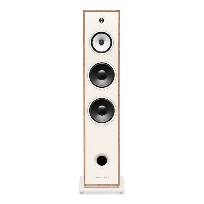 Triangle Borea BR10 speakers