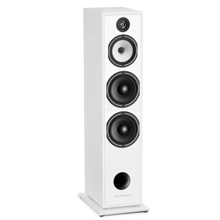 Triangle Borea BR10 speakers