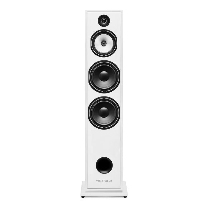 Triangle Borea BR10 speakers