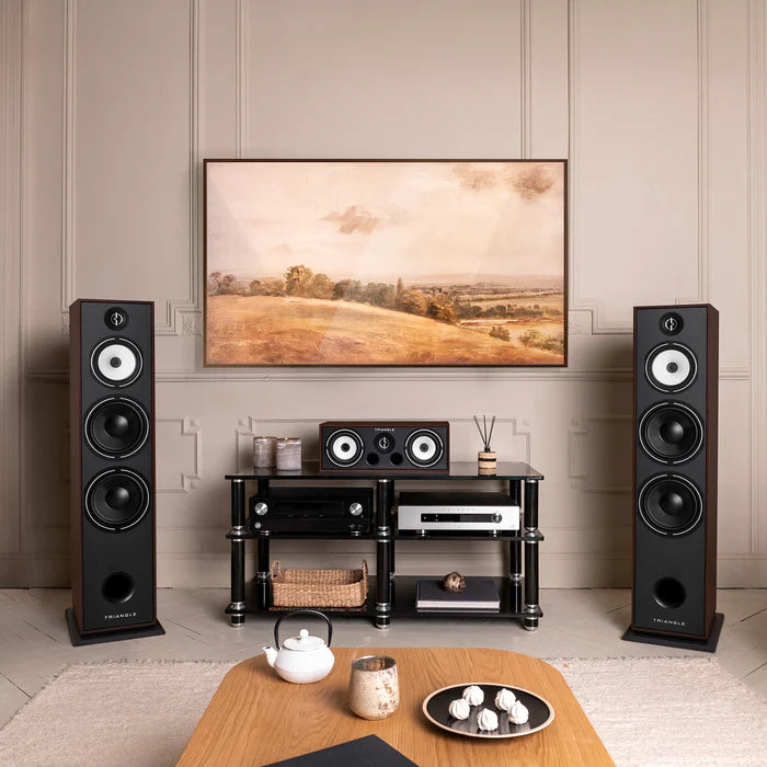 Triangle Borea BR10 speakers