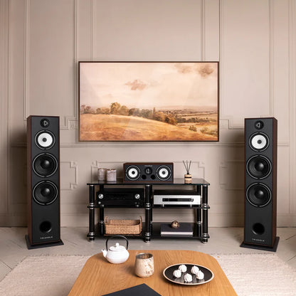 Triangle Borea BR10 speakers