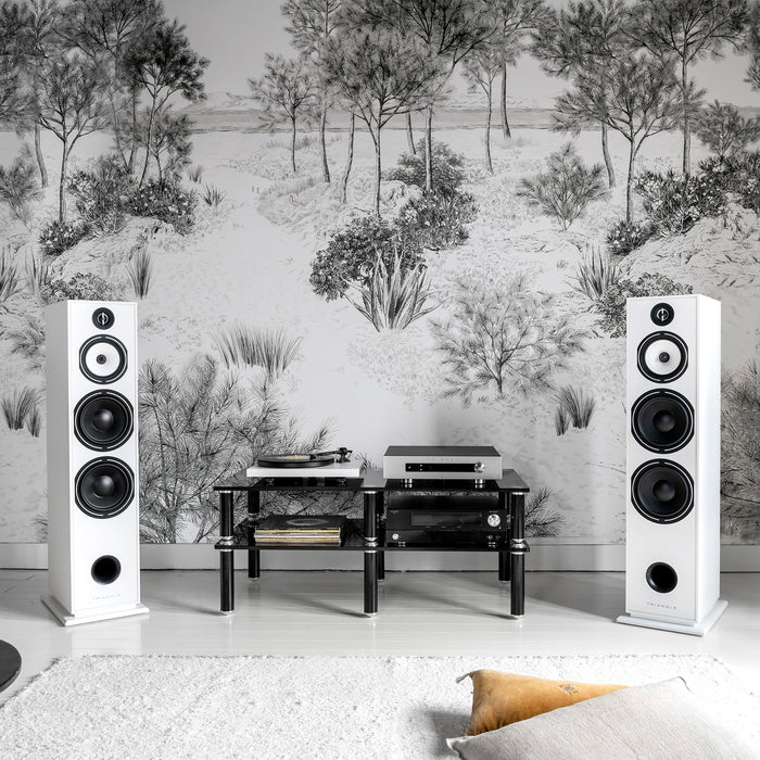 Triangle Borea BR10 speakers