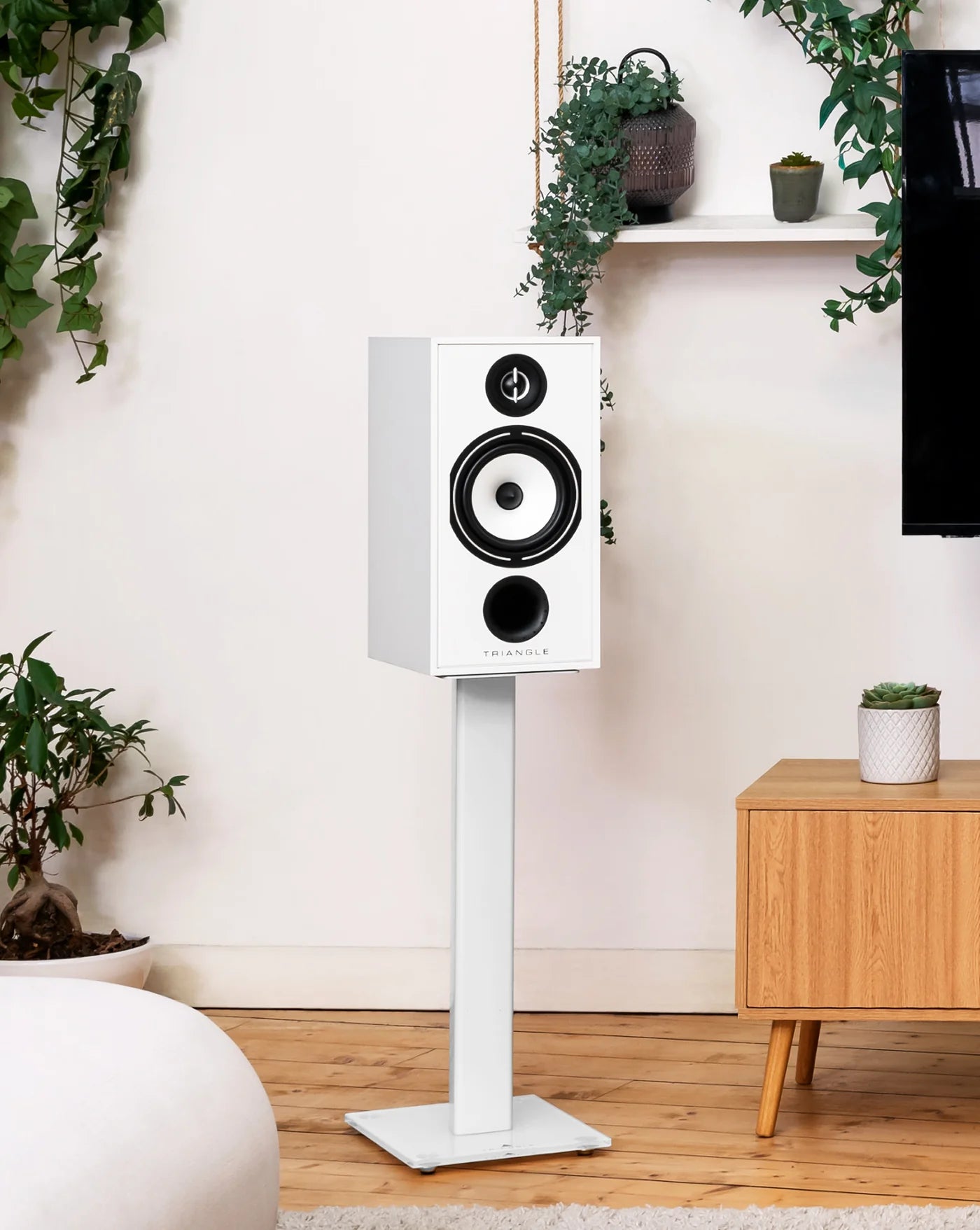 Triangle Borea BR04 speakers